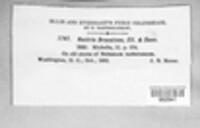 Image Associated With the Occurrence